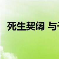 死生契阔 与子成说执子之手与子偕老 本意