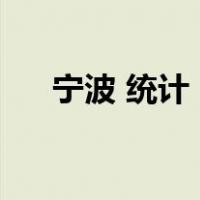 宁波 统计（宁波市统计网上直报系统）