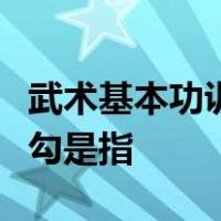 武术基本功训练中一般正踢腿要求三直一勾一勾是指
