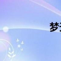 梦天木门订单管理系统