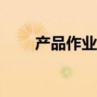 产品作业指导书（生产作业指导书）