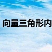 向量三角形内心的性质（三角形内心的性质）