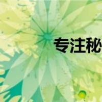 专注秘药能拿几个（专注秘药）