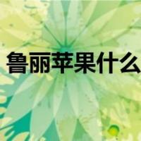 鲁丽苹果什么时候成熟（苹果什么时候成熟）