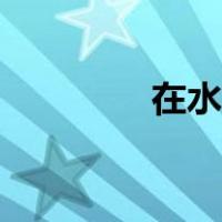 在水中央歌词（在水中央）