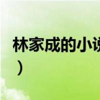 林家成的小说好看吗（林家成的小说哪本好看）