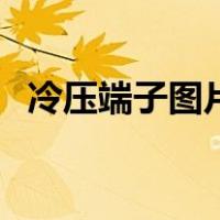 冷压端子图片及价格（冷压端子规格型号）