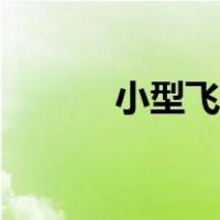 小型飞机坐多少人（小型飞机）