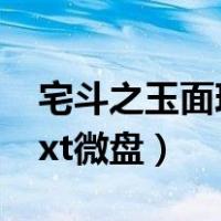 宅斗之玉面玲珑全文下载（宅斗之玉面玲珑txt微盘）