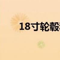 18寸轮毂和19寸轮毂的区别（18寸）