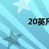 20英尺集装箱体积（20英尺）