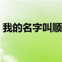 我的名字叫顺溜主演是谁（我的名字叫顺溜）