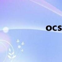 ocs国际快递官网（ocs）