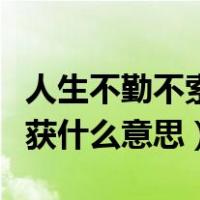 人生不勤不索何获什么意思（人生在勤不索何获什么意思）