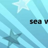 sea waybill提单是什么意思