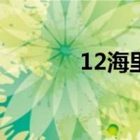 12海里是多少公里（12海里）