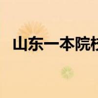 山东一本院校排名一览表（山东一本院校）