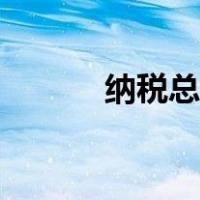 纳税总额（纳税总额包括哪些）