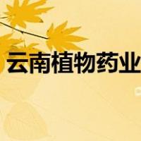 云南植物药业有限公司招聘信息（云南植物）