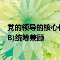 党的领导的核心作用主要表现在(A)统筹规划和科学规划和(B)统筹兼顾