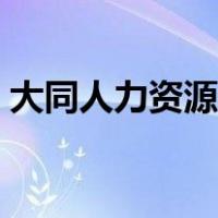 大同人力资源考试网（山西大同人事考试网）