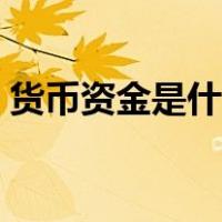 货币资金是什么资产（货币资金是什么意思）