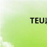 TEU表示（teu是什么单位）
