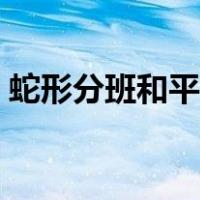 蛇形分班和平行分班（蛇形分班是什么意思）