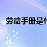 劳动手册是什么颜色的（劳动手册是什么）
