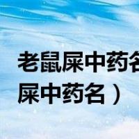 老鼠屎中药名叫什么吃了对人体有害吗（老鼠屎中药名）