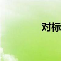对标管理制度（对标管理）