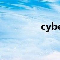 cybersecurity是什么意思