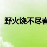 野火烧不尽春风吹又生的意思是什么野火烧