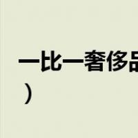 一比一奢侈品包包是什么意思（一比一奢侈品）