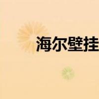 海尔壁挂炉售后（海尔壁挂炉官网）
