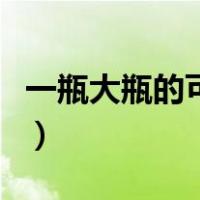 一瓶大瓶的可乐多少钱（大瓶可乐多少钱一瓶）