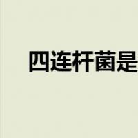 四连杆菌是饭前吃还是饭后吃（四连杆）