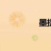 墨提斯的故事（墨提斯）