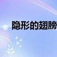 隐形的翅膀舞蹈教学（隐形的翅膀舞蹈）