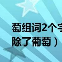 萄组词2个字除了葡萄两个字（萄组词2个字除了葡萄）
