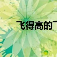 飞得高的飞机（折飞机飞得远飞得高）