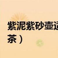 紫泥紫砂壶适合泡什么茶（紫砂壶适合泡什么茶）