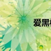 爱黑棒插上电脑认不出来了