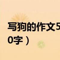 写狗的作文500字左右三年级（写狗的作文500字）