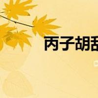 丙子胡乱电视剧（丙子胡乱电影）
