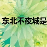 东北不夜城是哪个城市（不夜城是哪个城市）