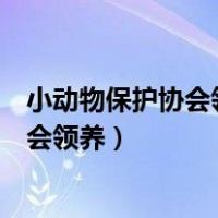 小动物保护协会领养的猫需要自己打疫苗吗（小动物保护协会领养）