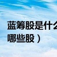 蓝筹股是什么类型的股票（什么是蓝筹股都有哪些股）
