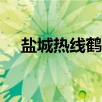 盐城热线鹤鸣亭论坛（盐城热线鹤鸣亭）