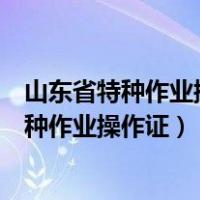 山东省特种作业操作证官网（山东省安全生产监督管理局特种作业操作证）